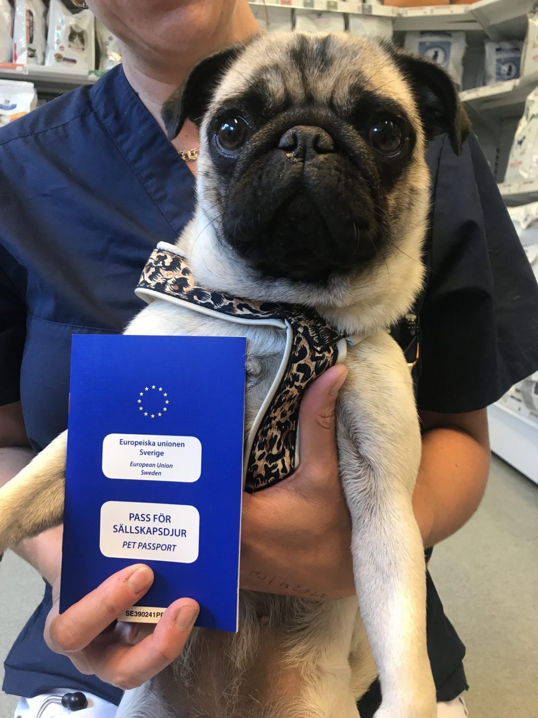 EU-pass Hund